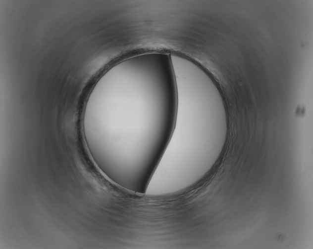 X0000093120440200709261017