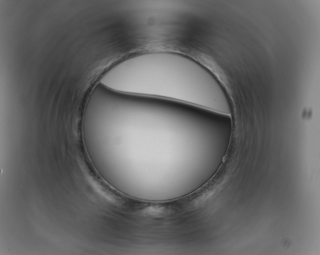 X0000093120441200709261017