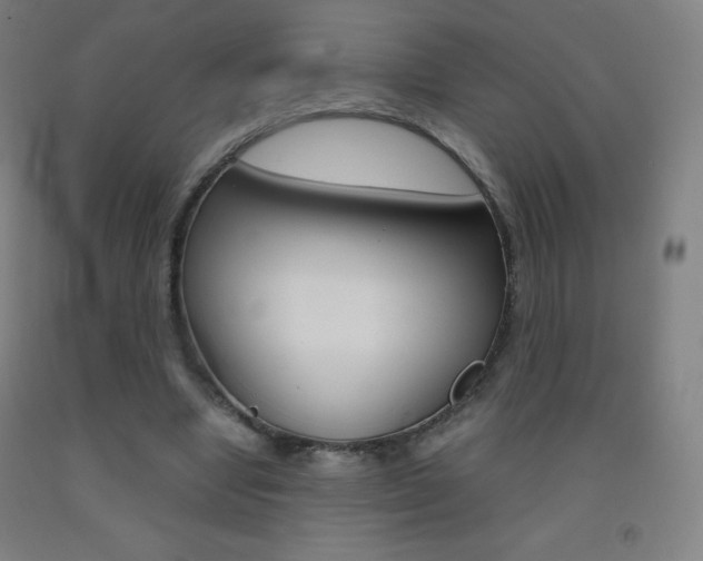 X0000093120442200709261017
