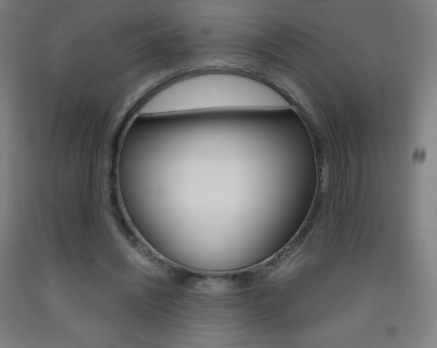 X0000093120444200709261017