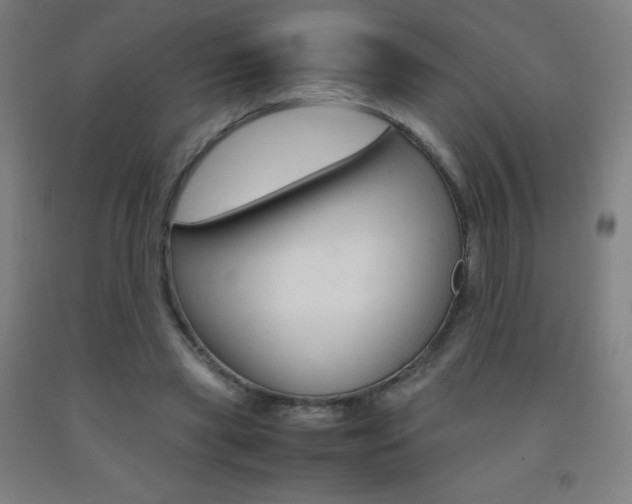 X0000093120445200709261017