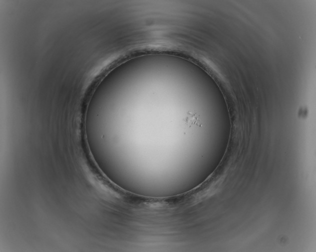 X0000093120446200709261017