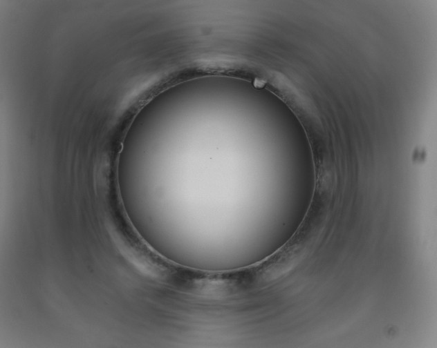 X0000093120448200709261017