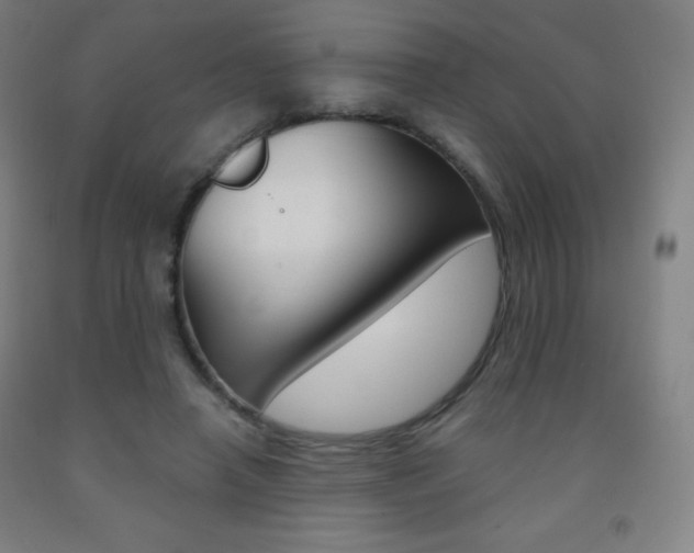 X0000093120450200709261017