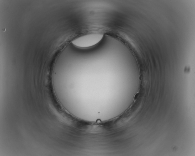 X0000093120451200709261017