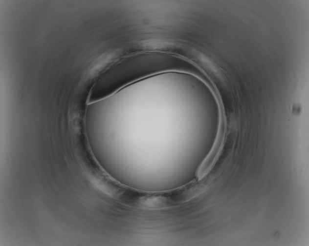 X0000093120452200709261017