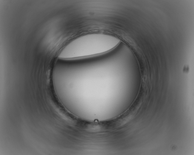 X0000093120454200709261017