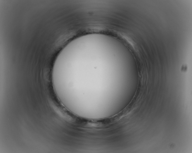 X0000093120455200709261017