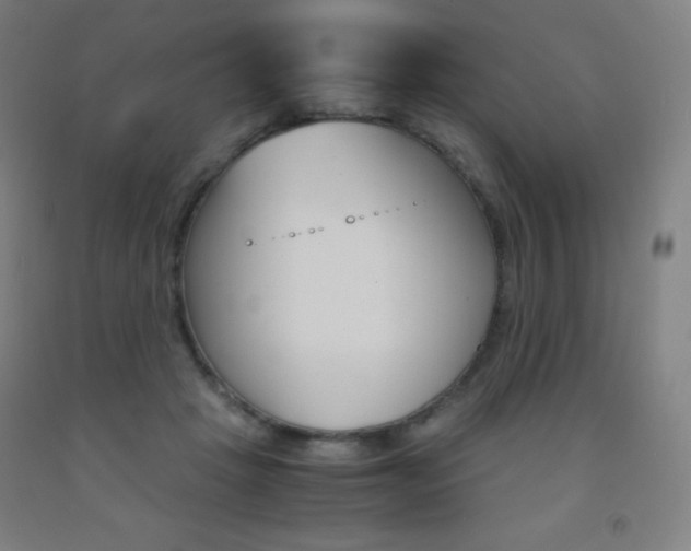 X0000093120457200709261017