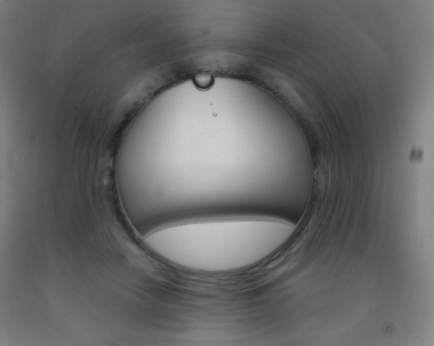 X0000093120458200709261017