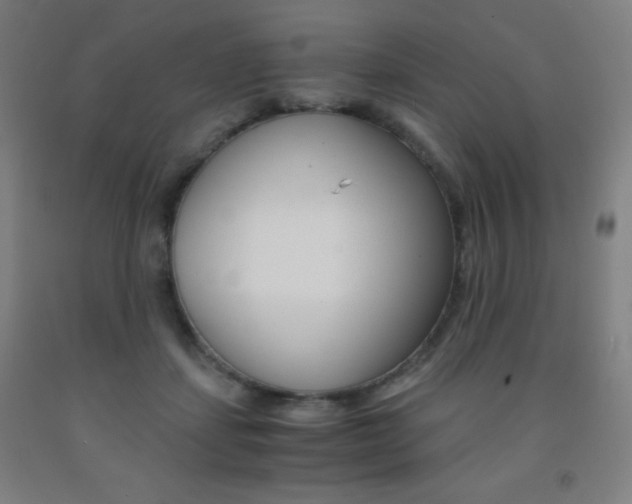 X0000093120459200709261018