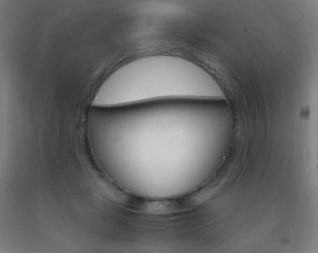 X0000093120461200709261018