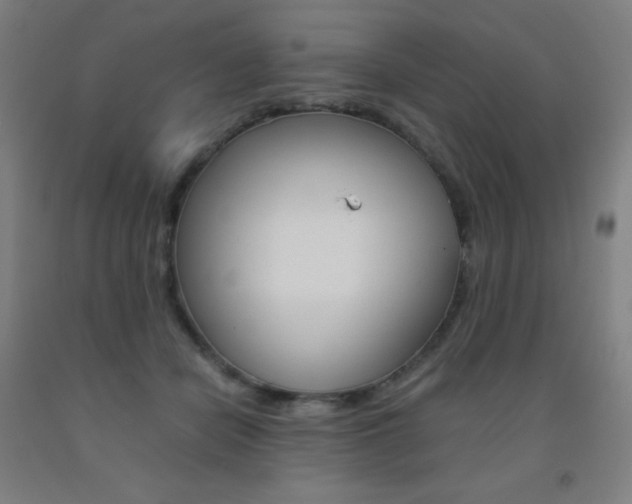 X0000093120462200709261018