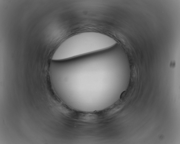 X0000093120463200709261018
