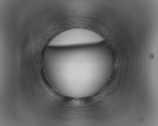 X0000093120464200709261018