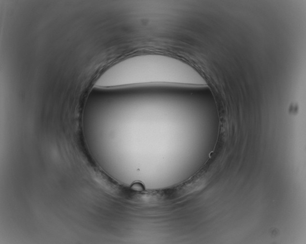X0000093120466200709261018
