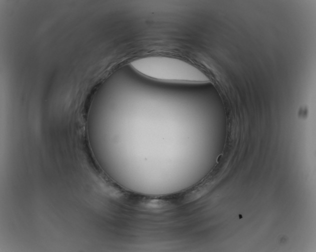 X0000093120467200709261018
