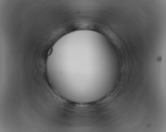 X0000093120469200709261018
