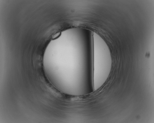 X0000093120470200709261018