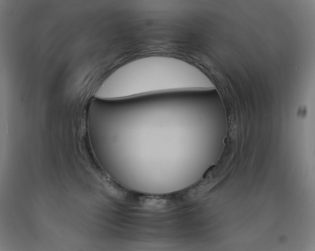 X0000093120471200709261018