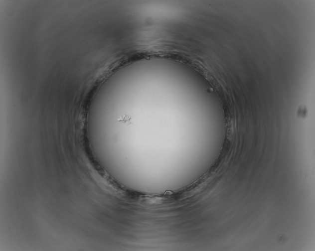 X0000093120472200709261018