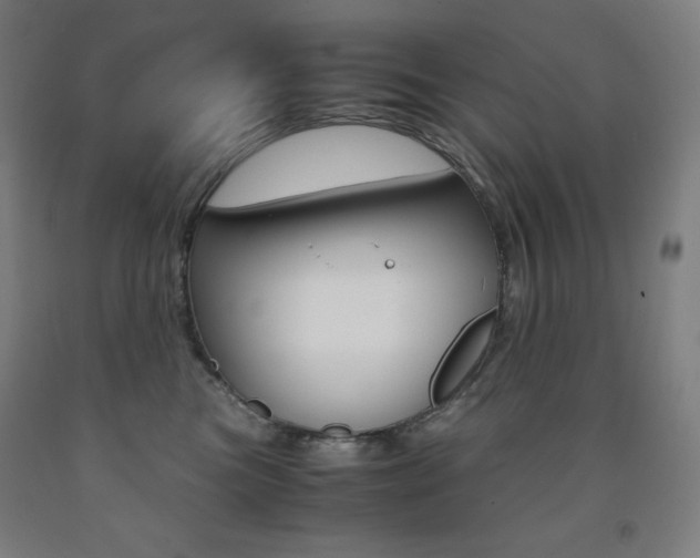X0000093120473200709261018