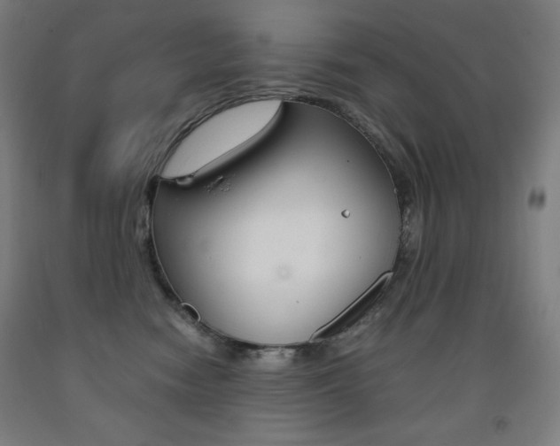 X0000093120474200709261018