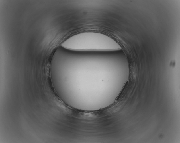 X0000093120475200709261018
