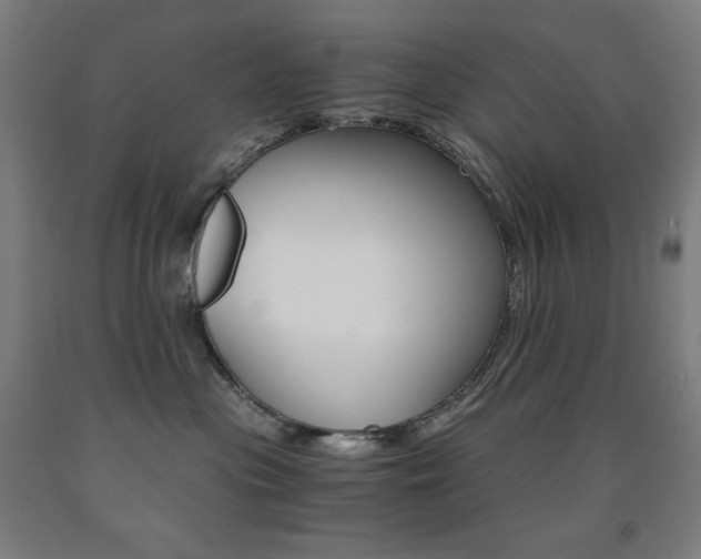 X0000093120477200709261018