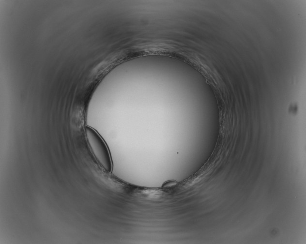 X0000093120478200709261018