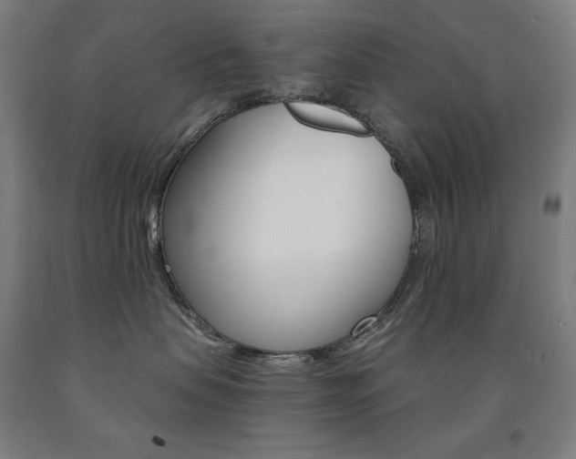 X0000093120479200709261018