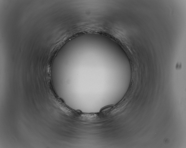 X0000093120480200709261018