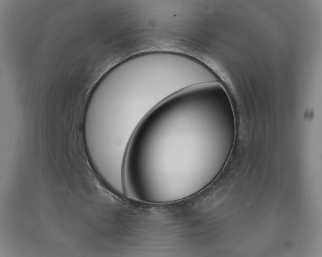 X0000093120481200709261017