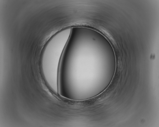 X0000093120485200709261017