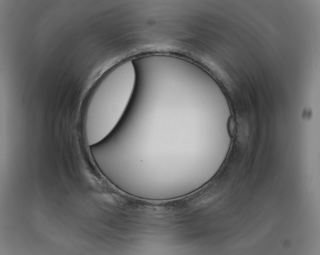 X0000093120486200709261017