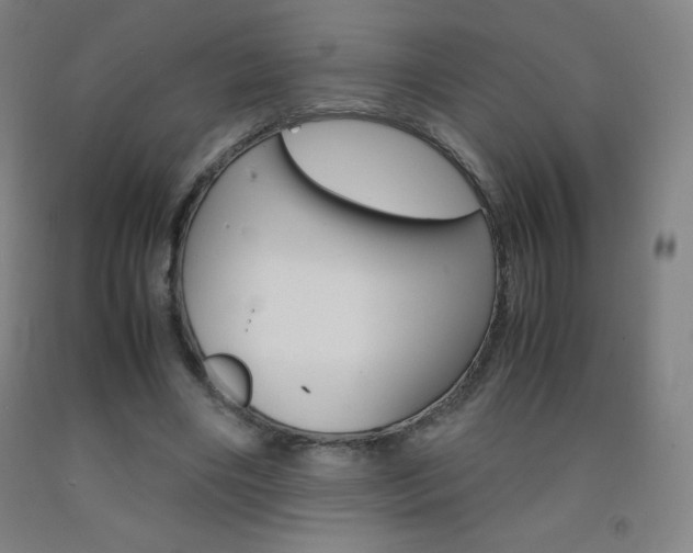 X0000093120490200709261017