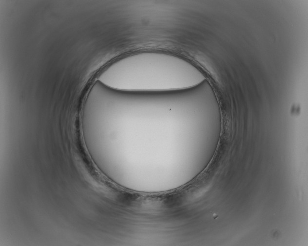 X0000093120491200709261017