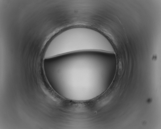 X0000093120492200709261017