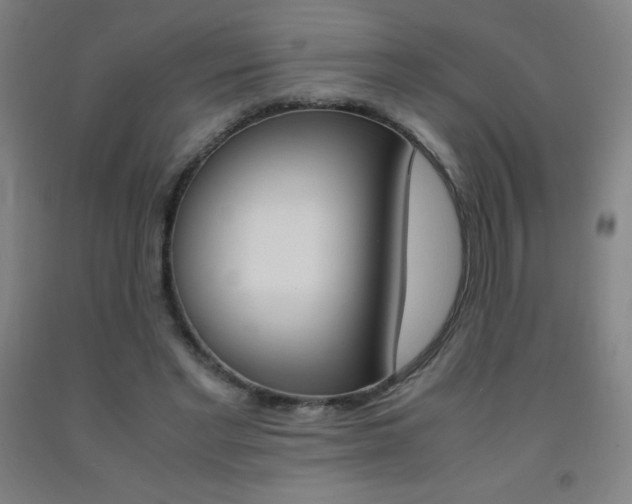 X0000093120493200709261017