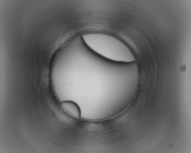 X0000093120494200709261017