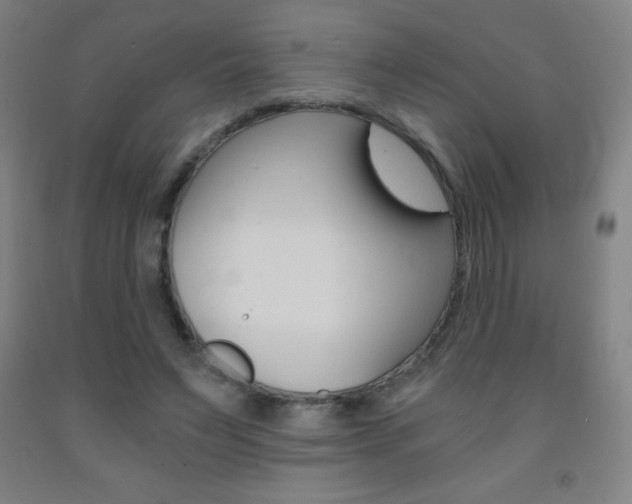 X0000093120495200709261017