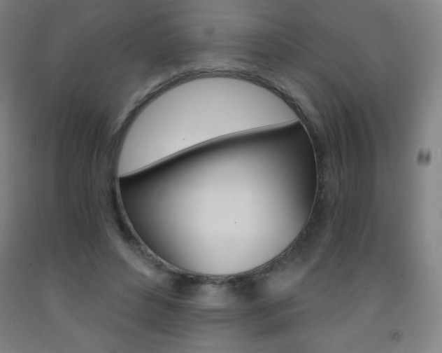X0000093120496200709261017