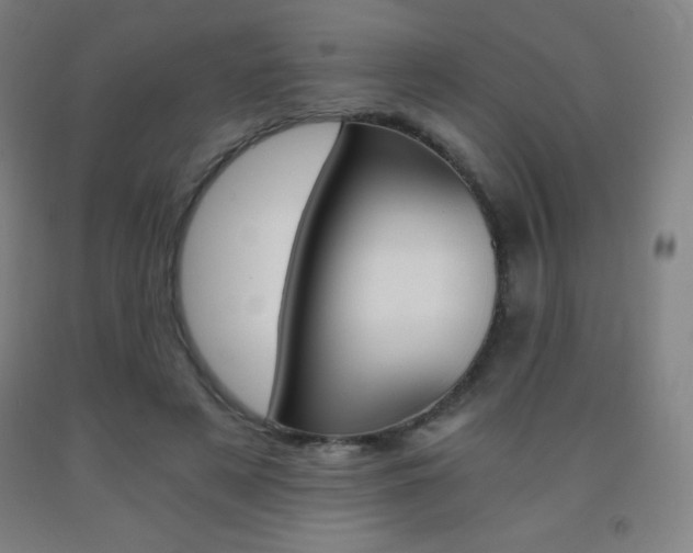 X0000093120497200709261017