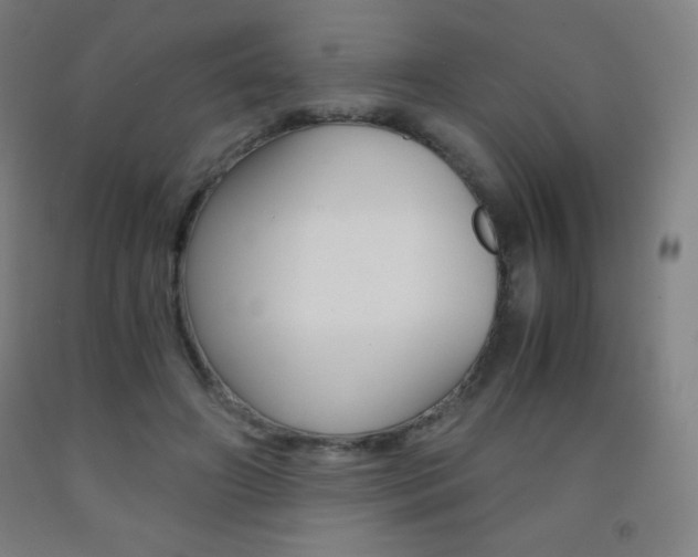 X0000093120498200709261017