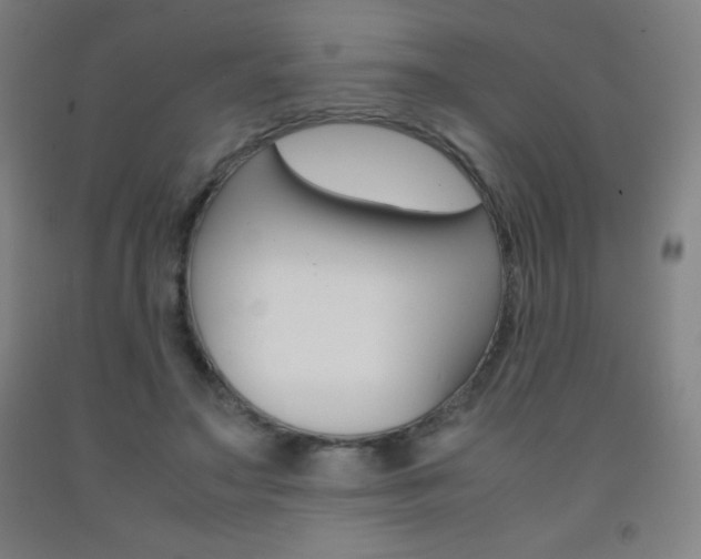 X0000093120499200709261017