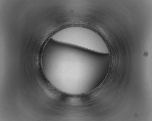 X0000093120500200709261017