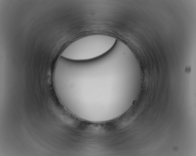 X0000093120502200709261017