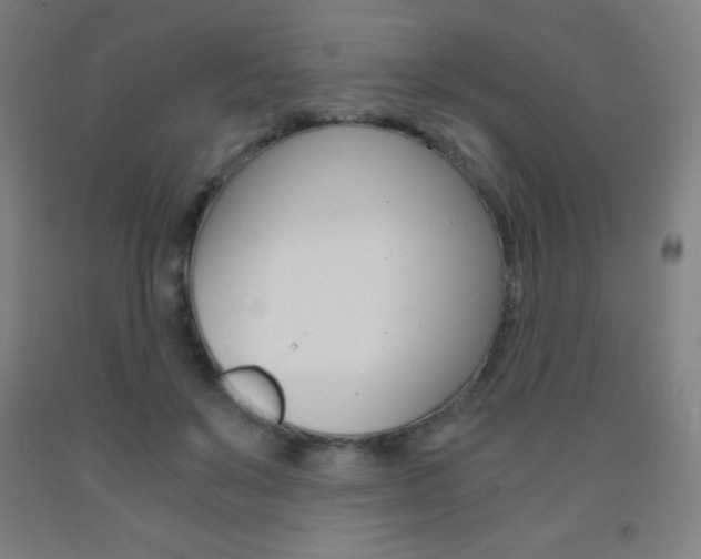 X0000093120503200709261017