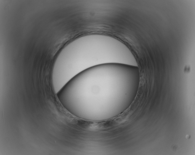 X0000093120504200709261017