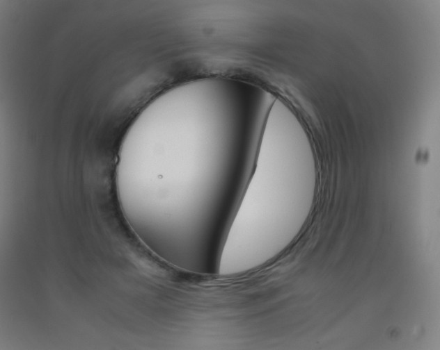 X0000093120505200709261017